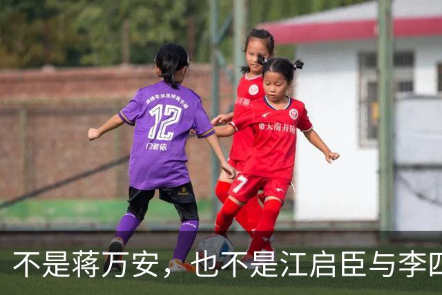 不是蒋万安，也不是江启臣与李四川，郑丽文直攻2028最大助力是她？