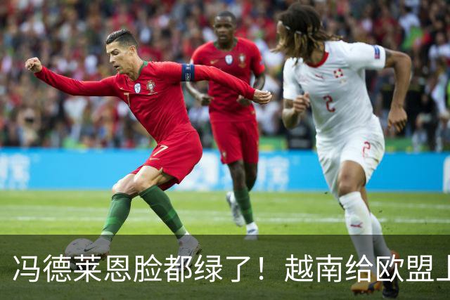 冯德莱恩脸都绿了！越南给欧盟上一课：去中国化？我们离不开中国