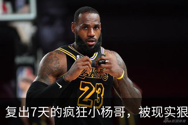 复出7天的疯狂小杨哥，被现实狠狠打了一巴掌