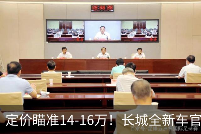 定价瞄准14-16万！长城全新车官宣，年内就能买到