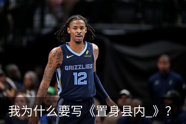 我为什么要写《置身县内 》？