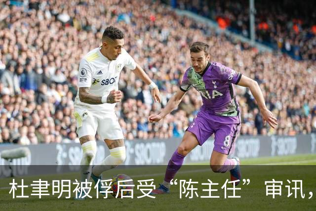 杜聿明被俘后受“陈主任”审讯，他下意识问：“你是陈毅将军吗？”