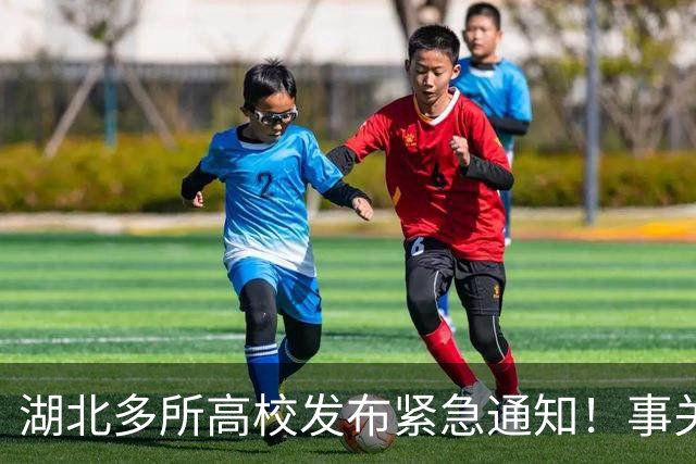 湖北多所高校发布紧急通知！事关西藏那曲巴青地震