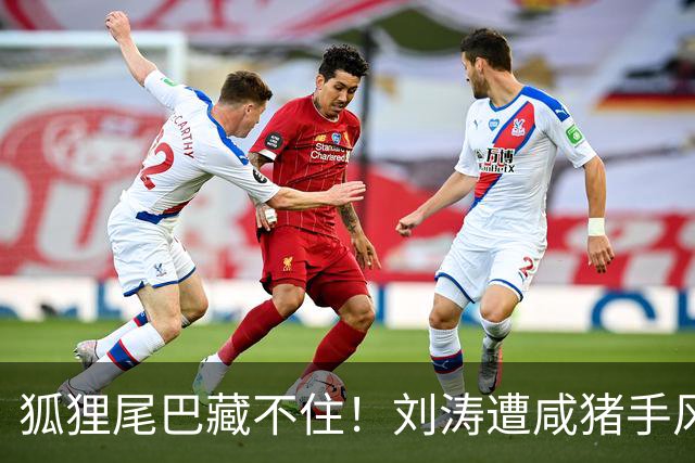 狐狸尾巴藏不住！刘涛遭咸猪手风波再升级，受害者远不止一个