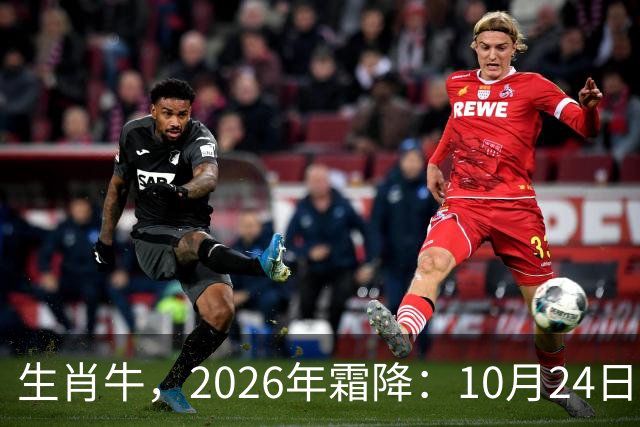 生肖牛，2026年霜降：10月24日-11月8日火热土燥，三思后行！