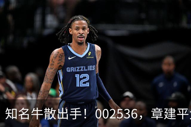 知名牛散出手！002536，章建平大举买入