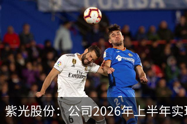 紫光股份：公司2026年上半年实现营业收入635.16亿，同比增长33.93%