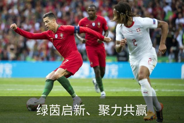 绿茵启新、聚力共赢